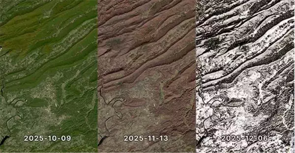 わずか9週間で景色が劇変！バージニア州の驚異的なタイムラプス映像