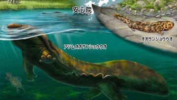 大分県で発見された約350万年前のオオサンショウウオ、新種新属と判明
