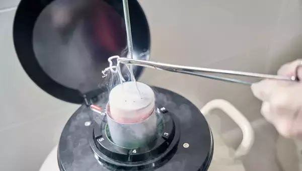 -196℃で凍結保存したマウスの脳全体を解凍後に活動させることに成功