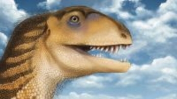 ティラノサウルスより1億4000万年前に生きていた新種の肉食恐竜を発見