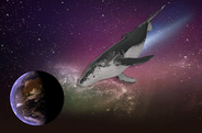 8月12日、潜在的に危険な小惑星が音速の27倍の速度で地球に接近。シロナガスクジラサイズ