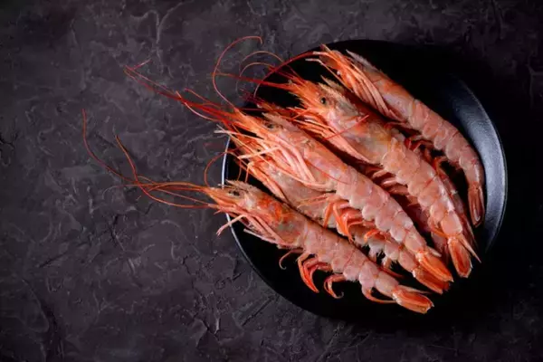 水に濡れると強くなる！エビの殻から生まれた新素材がプラスチックの代わりに