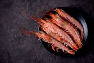 水に濡れると強くなる！エビの殻から生まれた新素材がプラスチックの代わりに