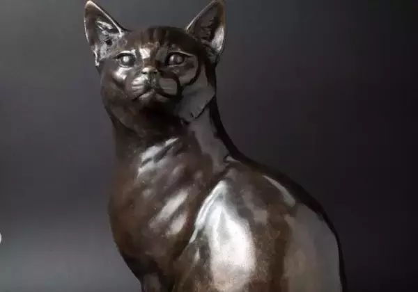 大学を我が家に選んだ猫、14年間住み続け存命中に銅像が設置される