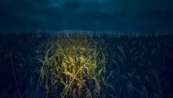 未解決事件簿。FBIも解読できない遺体に残された2枚の暗号メモ