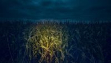 未解決事件簿。FBIも解読できない遺体に残された2枚の暗号メモ