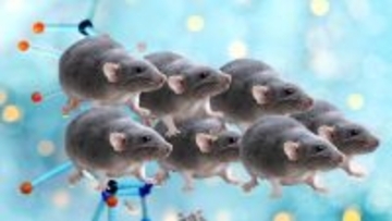 クローンのクローンを作り続けると58代目に限界を迎えることがマウス実験で判明（日本研究）