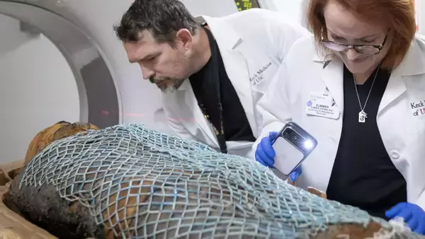 古代エジプト人も腰痛持ちだった。最新CTスキャンで2,000年前のミイラ分析で明らかに