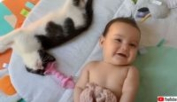 いつも見守っているから大丈夫。赤ちゃんの守護天使は子猫！