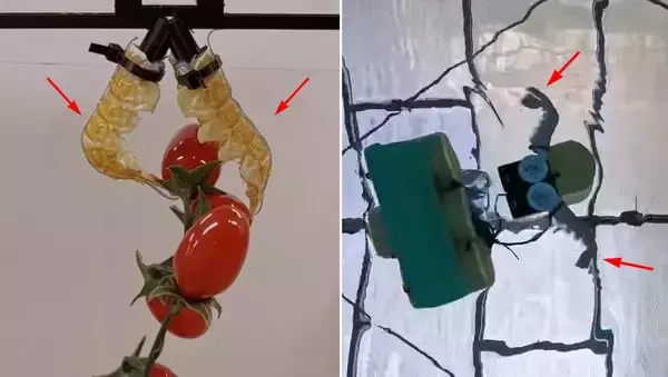 死んだエビの殻をロボット部品に再利用「 ネクロボティクス」
