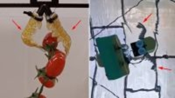 死んだエビの殻をロボット部品に再利用「 ネクロボティクス」