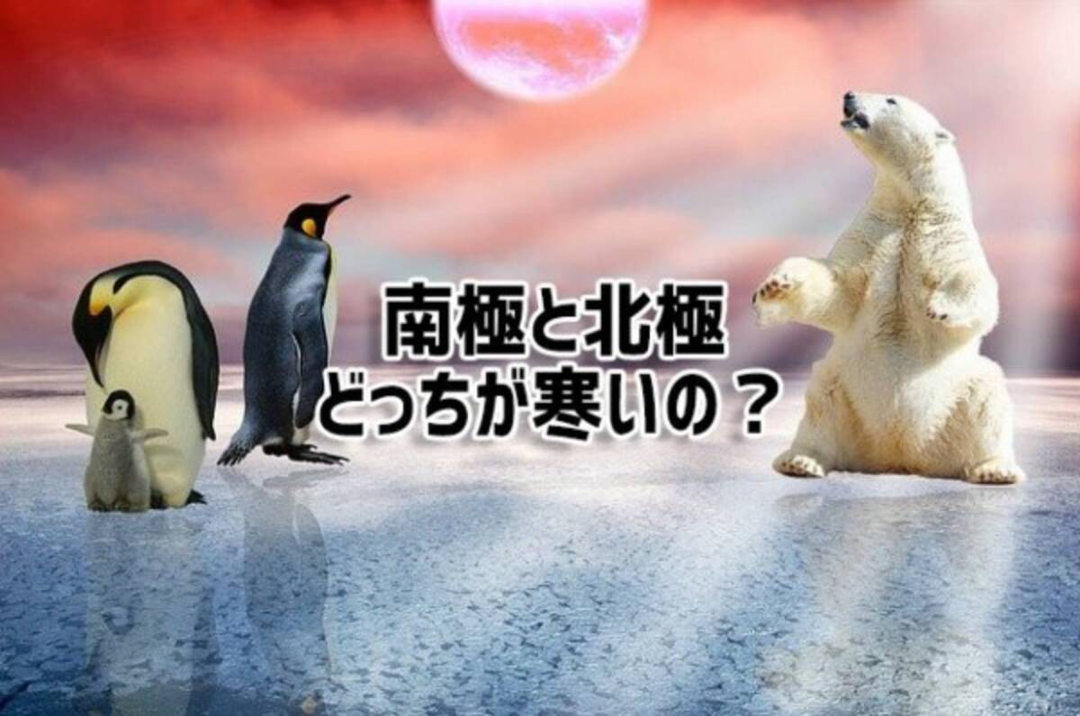 南極 北極 どっち が 寒い