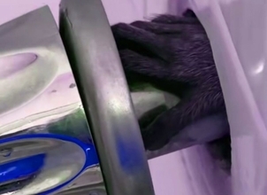 浴槽の蛇口の奥から伸びてきた謎の手に驚愕する家族、その正体とは？