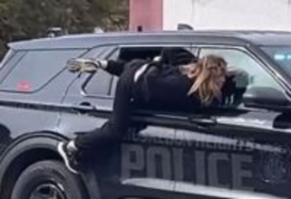 フーディーニかな。手錠をかけられた女がパトカーの窓をすり抜け逃走（アメリカ）