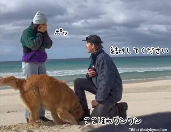 飼い主のプロポーズの瞬間 犬は指輪を埋めるために穴を掘り始めた 22年7月21日 エキサイトニュース