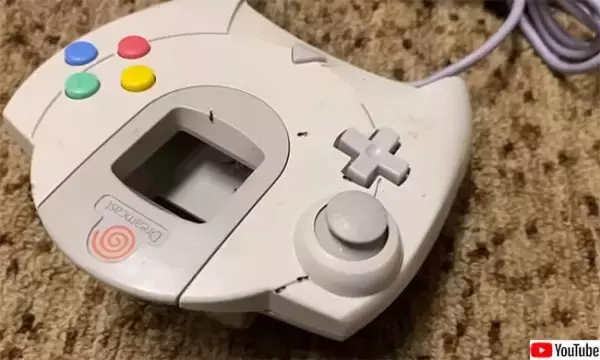 オーストラリアあるあるなのか？ゲームコントローラーの中に大量の蟻と 