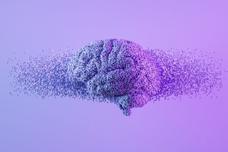 マウスのアルツハイマー病を逆転させ、低下した記憶力を回復させることに成功