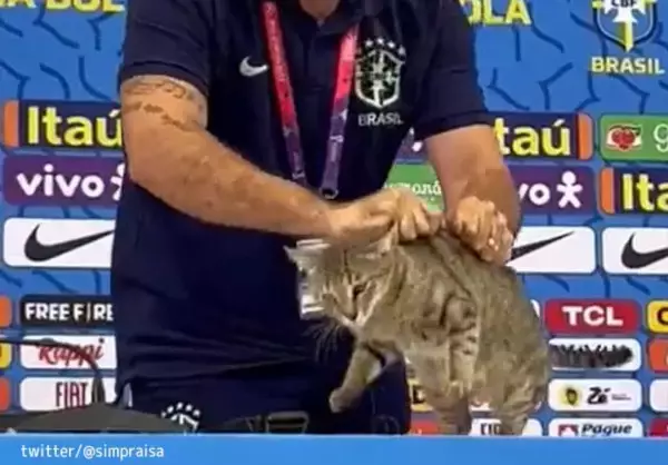 ブラジルがクロアチアに負けたのは猫の呪い？ワールドカップまさかのPK負けで広がる噂