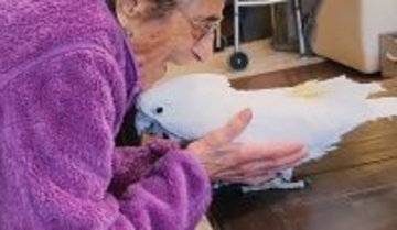 102歳女性の腕の中にまっすぐに飛び込んできた保護オウム。初対面で芽生えた特別な絆