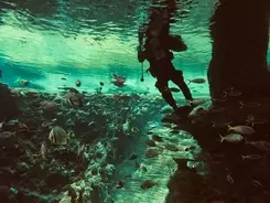 遺伝子解析が解き明かす人間型umaの正体 ロシアの女uma ザナ の謎 14年8月28日 エキサイトニュース