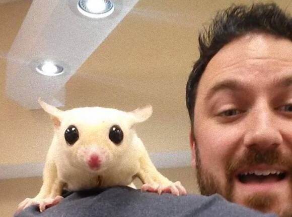 綺麗な自 撮り 動物 最高の動物画像