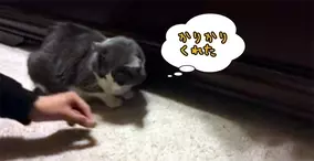 世界仰天ニュース ある食べ物を食べたところ まつ毛が異常に長くなってしまった男性 ウクライナ 15年3月4日 エキサイトニュース