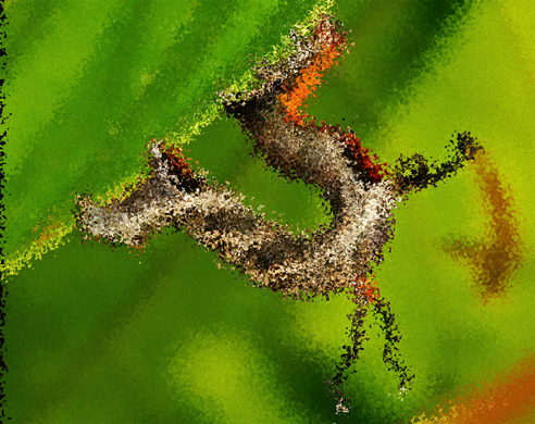 衝撃画像 最凶にキモい昆虫ゾンビ3選 キノコが生えたゾンビバエ 尻に触手を生やした蛾 17年12月10日 エキサイトニュース