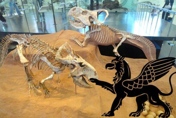 伝説の生き物が存在した証拠として扱われた8つの化石 15年6月2日 エキサイトニュース