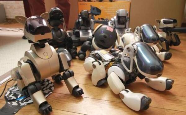 死なないはずだったのに 涙なくしては見られない 病院閉鎖で悲しむロボット犬 Aibo の飼い主たち 15年6月1日 エキサイトニュース