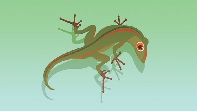 脱ぐとき凄かった サソリの脱皮シーンを早回しで 節足動物注意 16年12月8日 エキサイトニュース