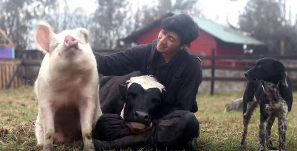 心ほんわか優しい世界 豚 牛 犬 猫が次から次へとやってくる 動物たちに愛され過ぎている男性 15年9月9日 エキサイトニュース