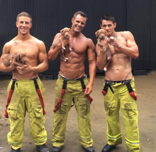 肉弾マッチョで子犬や子猫を包み込む オーストラリア消防士たちが動物たちを救うため一肌脱いだ 16年4月23日 エキサイトニュース