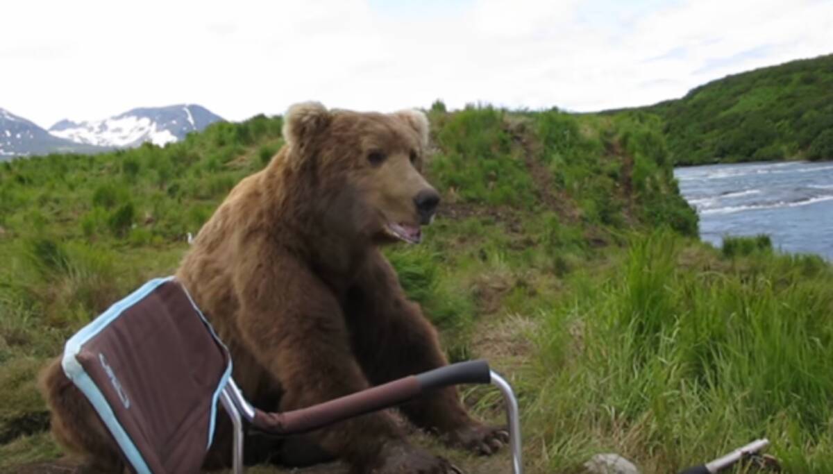 ヒグマ観察するぞ と陣取ったらヒグマがチェアの真横に座るとかいう奇跡到来 16年9月1日 エキサイトニュース ヒグマ観察するぞ と陣取ったらヒグマがチェアの真横に座るとかいう奇跡到来 16年9月1日 エキサイトニュース
