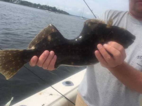 体をかじられながらも生き延びていた魚 漁師が釣り上げびっくり仰天 こんなにもえぐれていたわけだし アメリカ 16年9月29日 エキサイトニュース