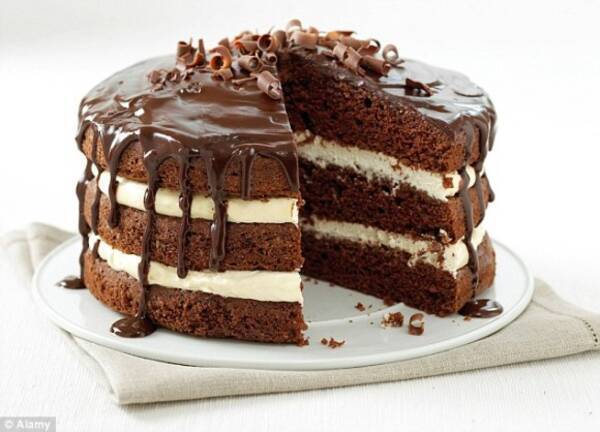 17年 チョコレートケーキが朝食のトレンドに 記憶力向上や減量にも役立つ可能性 米 イスラエル研究 16年11月16日 エキサイトニュース