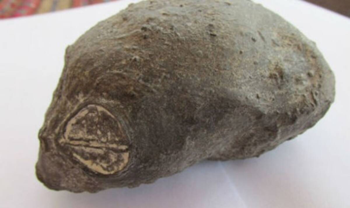 宇宙人なのか ペルーの砂漠で奇妙な生物のミイラ化した頭蓋骨と遺体が発見される 16年11月27日 エキサイトニュース