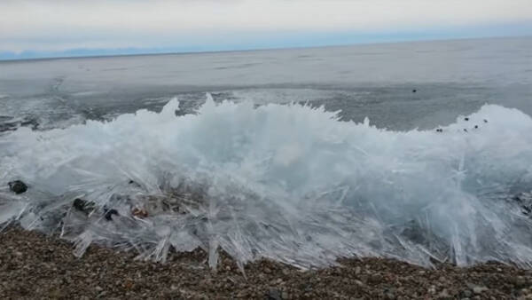 地面を侵食していく生命体のよう ロシア バイカル湖の波打ち際で増殖していく氷の波 17年2月1日 エキサイトニュース