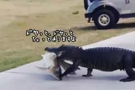 キスの 8つの健康効果 がハンパない ダイエット アンチエイジングにも効果抜群 17年3月7日 エキサイトニュース