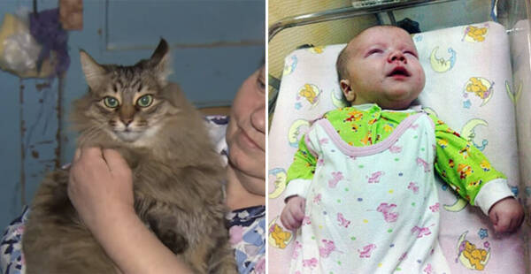 地下に捨てられたていた赤ちゃんをあたため続け命を救った猫 ロシア 17年6月23日 エキサイトニュース