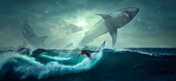 巨大生物に襲われる的なパニック映画のリアル版 巨大イカがサーフボードに巻きついてきて 17年7月1日 エキサイトニュース