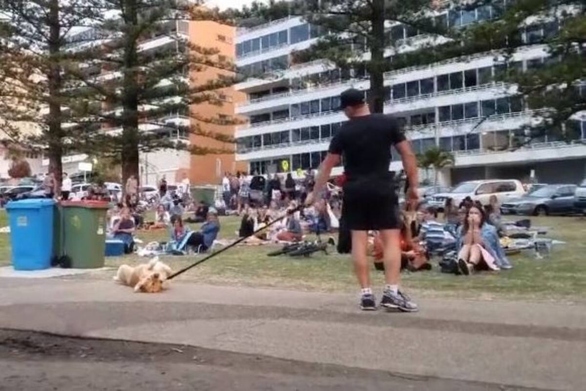 犬社会に横行している散歩から帰りたくないときの最終手段 ザ 死んだふり 17年9月5日 エキサイトニュース