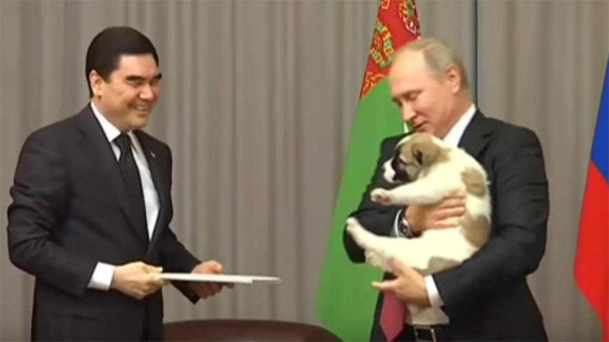 続々と集まる各国の刺客 プーチン大統領にまたしても子犬が贈呈される トルクメニスタン大統領より 17年10月12日 エキサイトニュース