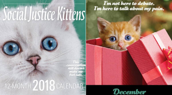 かわいいだけじゃないんです 子猫に社会正義を語らせたシニカルな 18年子猫カレンダー 17年12月17日 エキサイトニュース