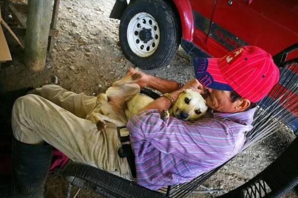 私の飼い主を助けてあげて コスタリカの路上で車にひかれそうになりながらも必死に助けてくれる人を探し続けた犬 18年1月5日 エキサイトニュース
