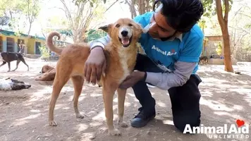 愛を知らずに震えていた子犬 献身的な手当てを受けて最高にハッピーなわんこに変身 21年9月19日 エキサイトニュース