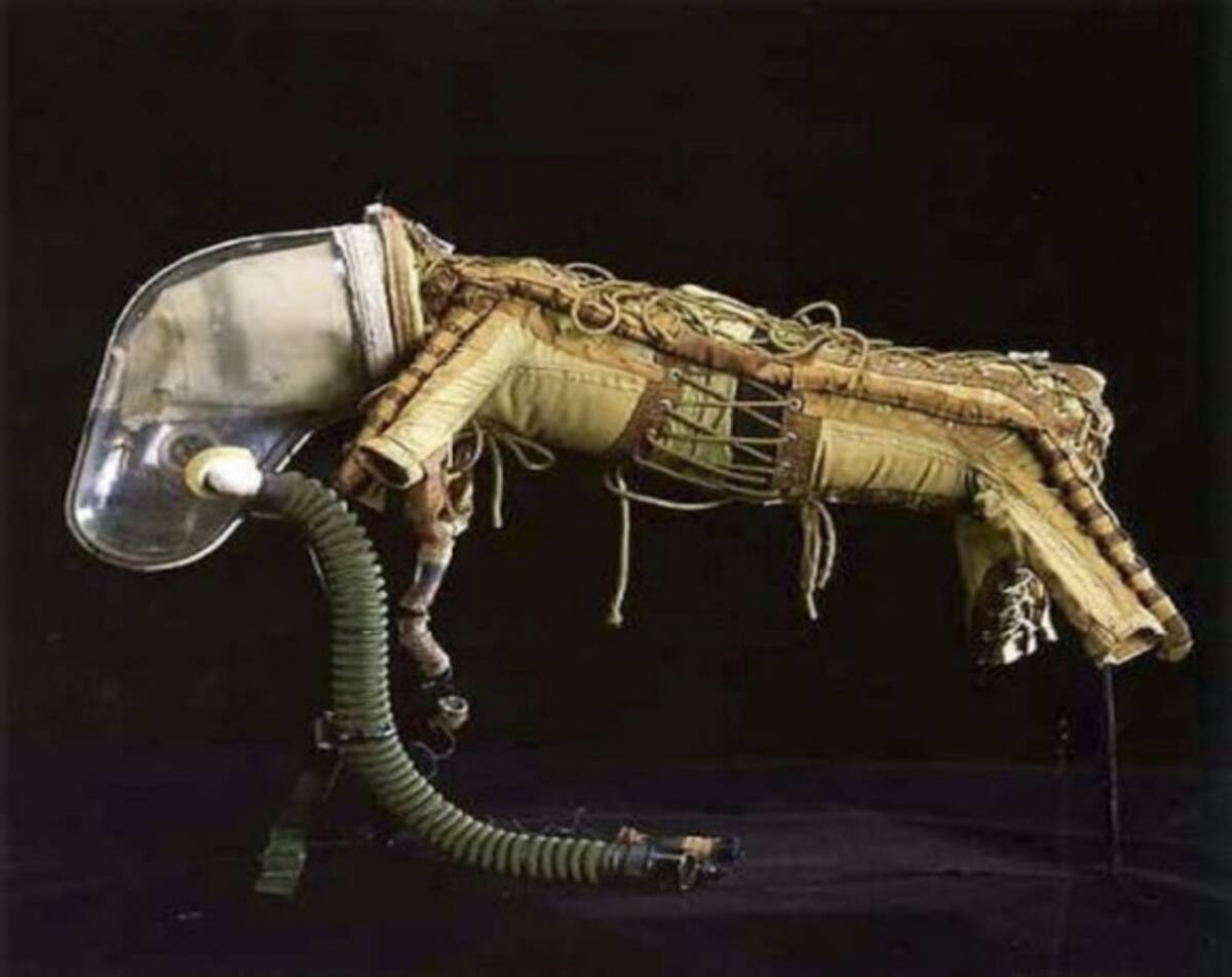 宇宙犬ライカが身に着けていたとされるコスチュームの詳細が明らかに 18年2月23日 エキサイトニュース