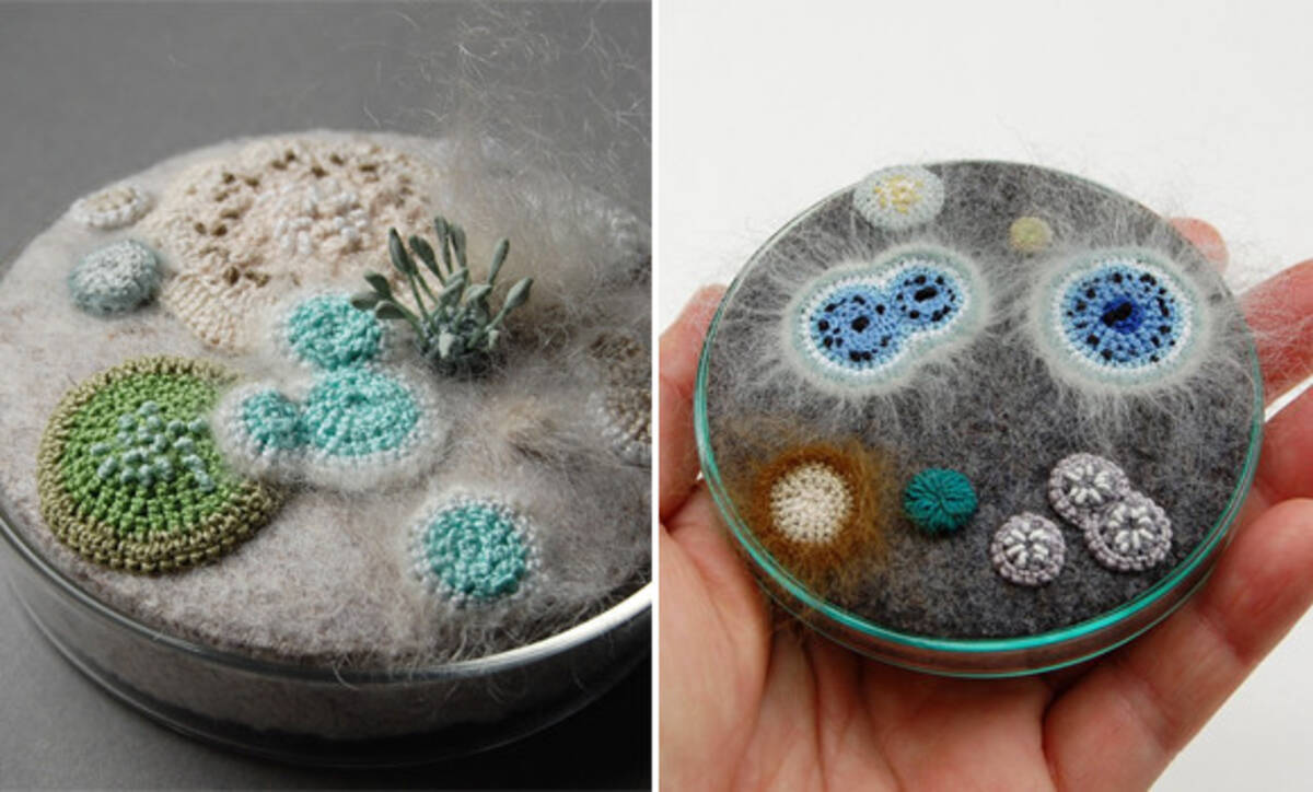 ペトリ皿に繁殖するカビや細菌を フェルトや刺繍などの手芸で表現 新たなる小宇宙が生まれたようだ 18年3月28日 エキサイトニュース