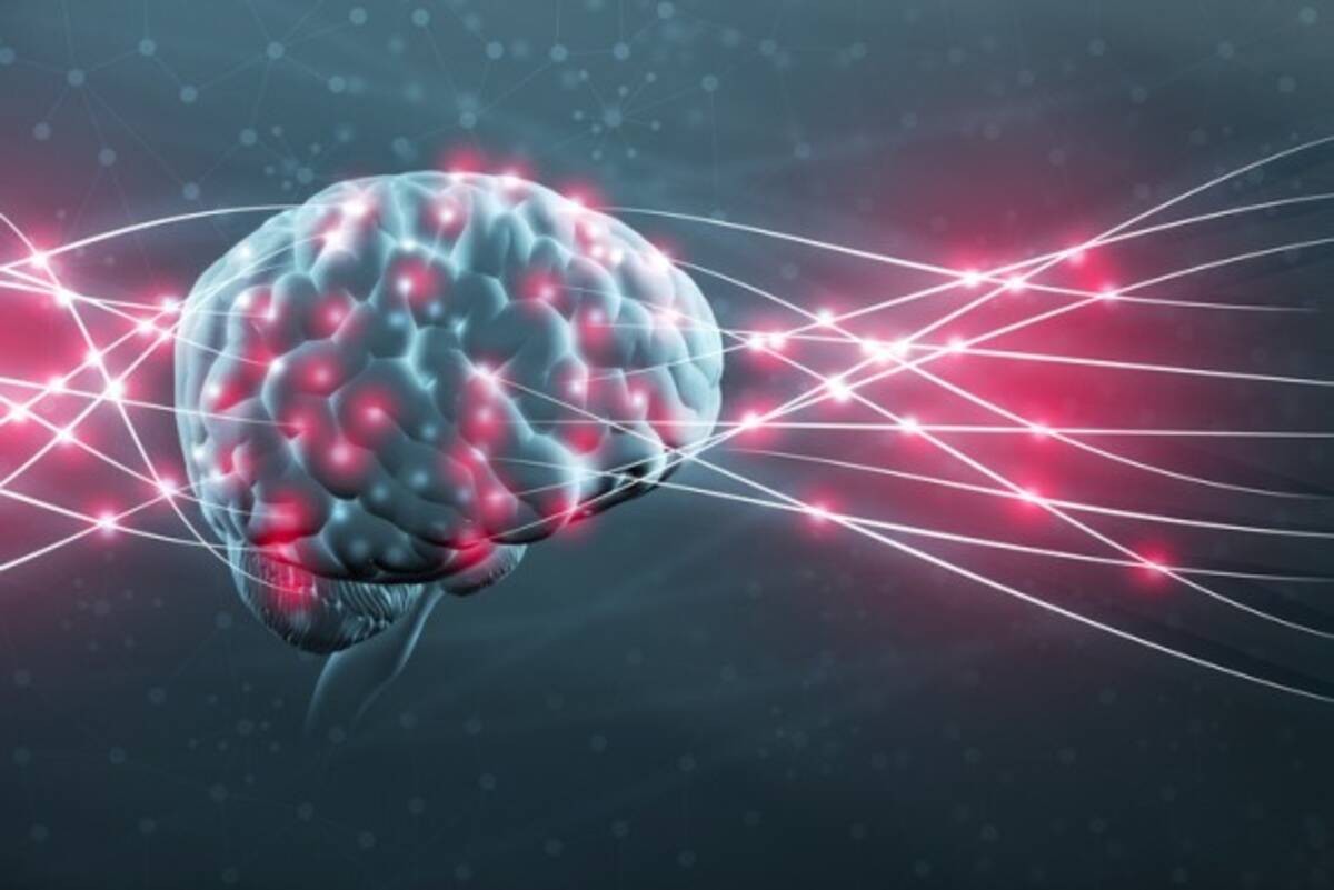 脳を保存して意識をコンピューターにアップロード 電脳化の為の脳保管プロジェクトが開始される ただし100 致死的 18年3月24日 エキサイトニュース