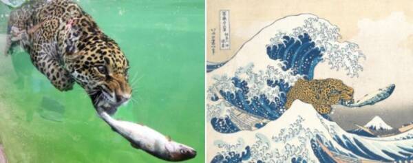 オリジナル画像の秀逸さとコラ職人のセンスが光る フォトショバトル優秀作品 昆虫出演中 18年3月30日 エキサイトニュース