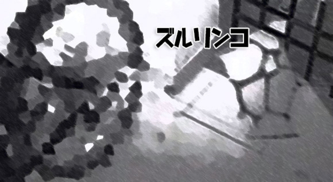 郵便物を盗もうとしていたのは世界最小の泥棒だった 監視カメラでその正体が明らかに アメリカ 年7月24日 エキサイトニュース